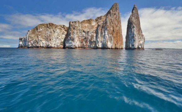 29 Ecuador Photos - Business