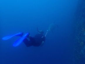 Classic Go Pro chaser. (Poor sea turtle.) Photo courtesy Robin Wu.