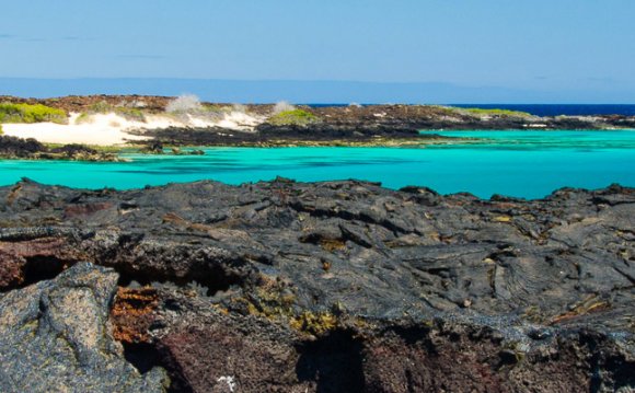 Vacations to Ecuador