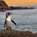 About Galapagos Islands