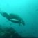Galapagos Islands Wikitravel