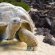Holidays to The Galapagos Islands