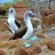 Touring the Galapagos Islands
