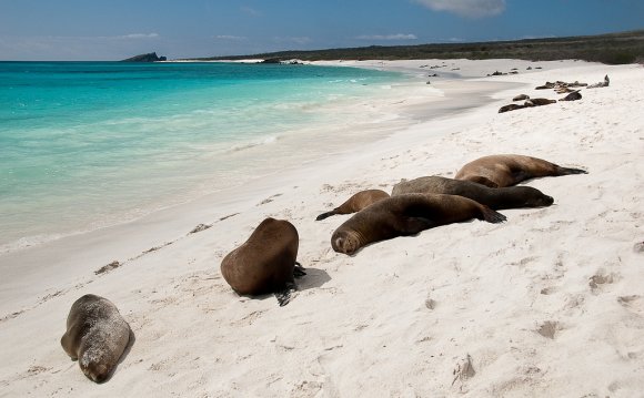 Galapagos beach