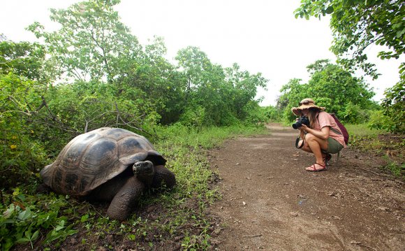 Best Islands in Galapagos