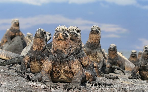 Galapagos Islands culture