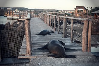 Living like a local on the Galapagos Islands