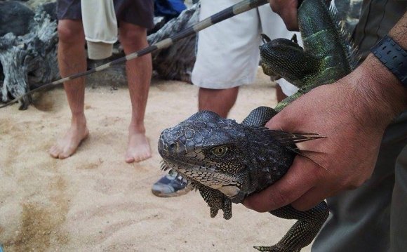 List of Galapagos Islands