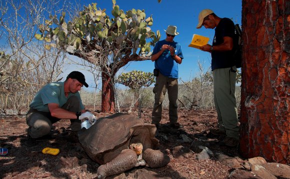 Galapagos Islands Conservation