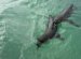 Facts about Galapagos Islands