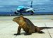 Galapagos Airport