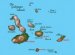 Galapagos Travel