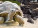 Holidays to The Galapagos Islands