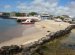 Living Galapagos