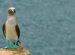 What is the Galapagos Islands?