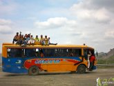 Bus-Ecuador