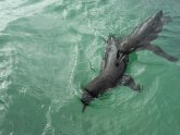 Facts about Galapagos Islands