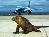 Galapagos Airport