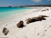Galapagos beach