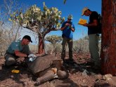 Galapagos Islands Conservation