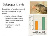 Galapagos Islands population