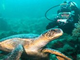 Galapagos Luxury Tours