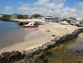 Living Galapagos
