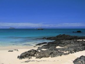 Tourists flock to these tropical attractions