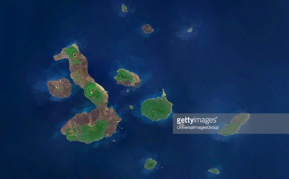 Where is the Galapagos located?