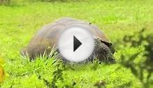 Eco Tourism in Ecuador (Islands)