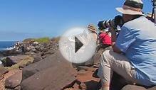Galapagos Islands Photography Tours