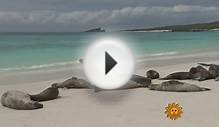 Nature: The Galapagos Islands
