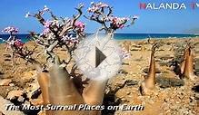 The Most Surreal Places on Earth (Part I)