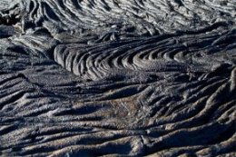Galapagos Cruise Tips