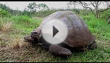 The Galapagos Islands Jan 2014